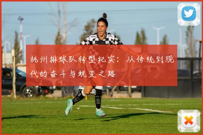 杭州排球队转型纪实：从传统到现代的奋斗与蜕变之路