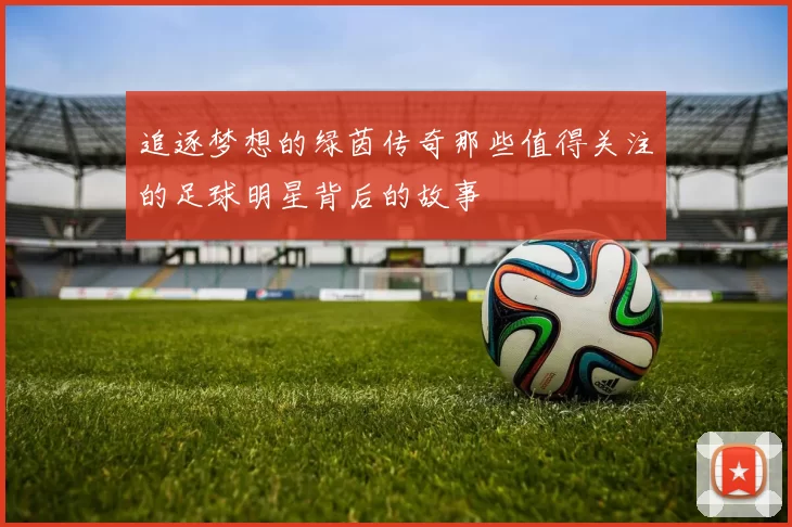 追逐梦想的绿茵传奇那些值得关注的足球明星背后的故事