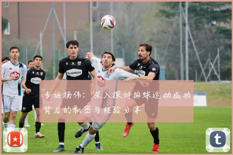 专访杨伟：深入探讨排球运动成功背后的秘密与经验分享