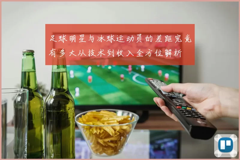 足球明星与冰球运动员的差距究竟有多大从技术到收入全方位解析