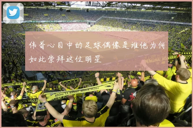 伟哥心目中的足球偶像是谁他为何如此崇拜这位明星