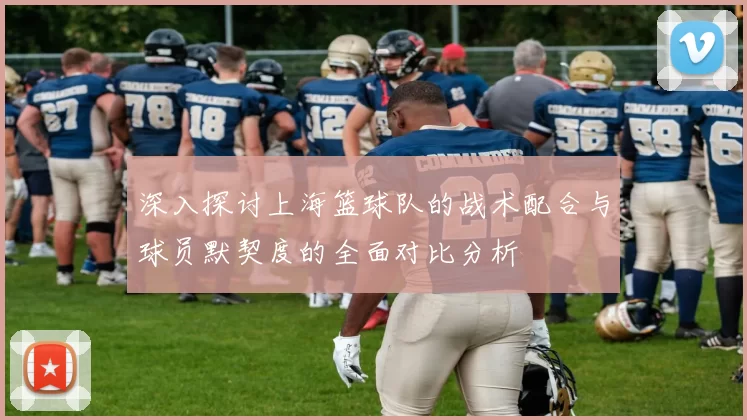 深入探讨上海篮球队的战术配合与球员默契度的全面对比分析