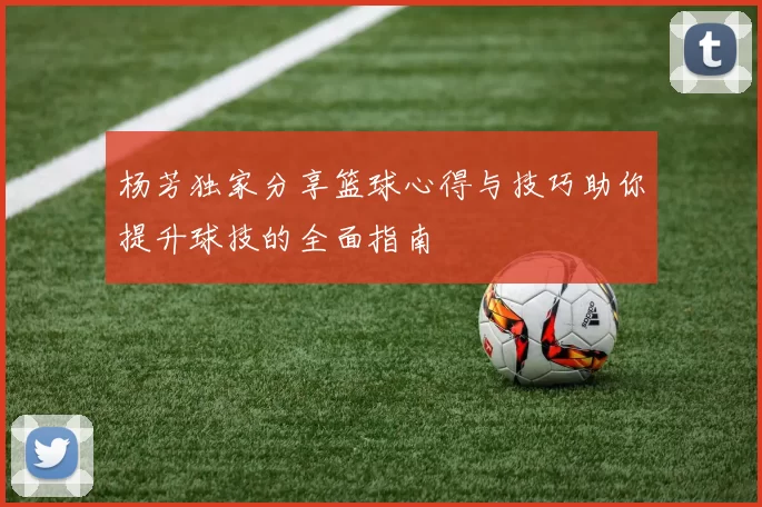 杨芳独家分享篮球心得与技巧助你提升球技的全面指南